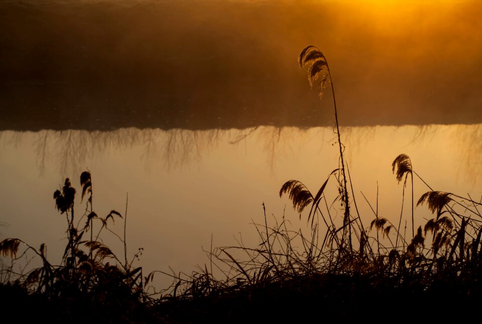 riverbank at sunrise