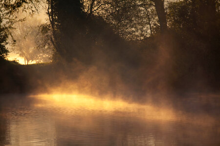 Mist on early morning lake photo