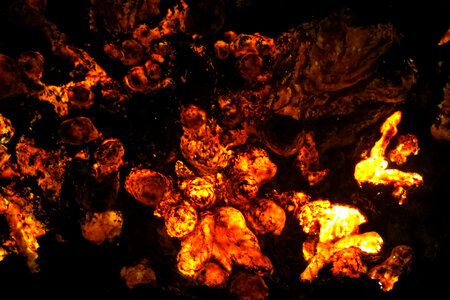 orange lights on black