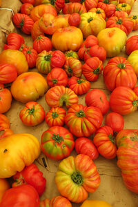 heirloom tomatoes photo