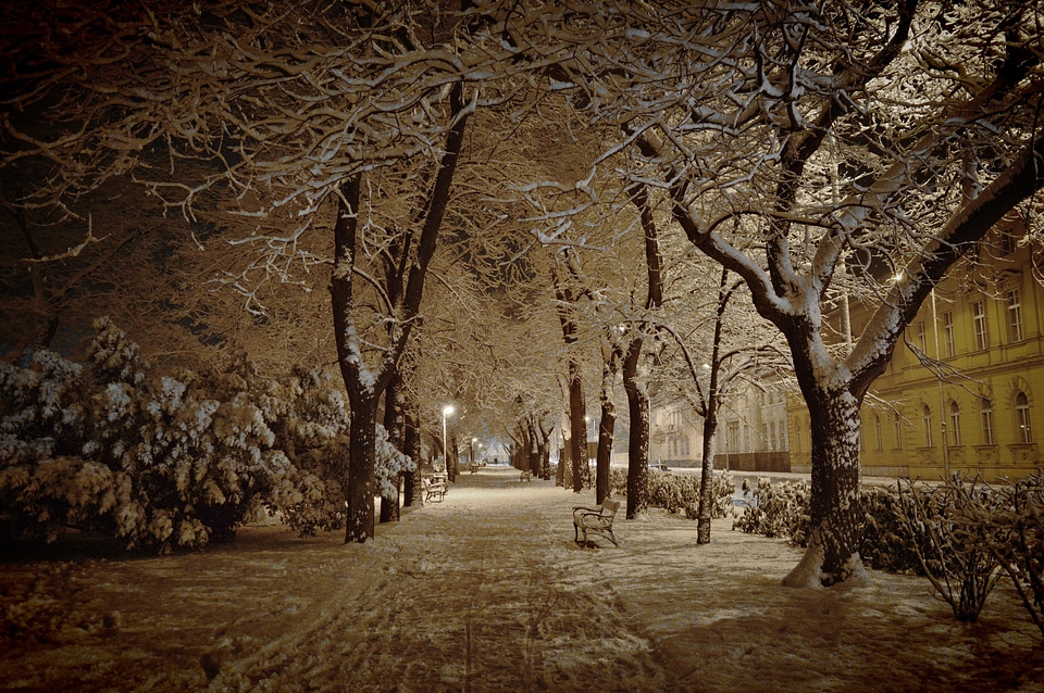 In the evening park székesfehérvár