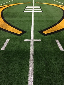 Field sports green football