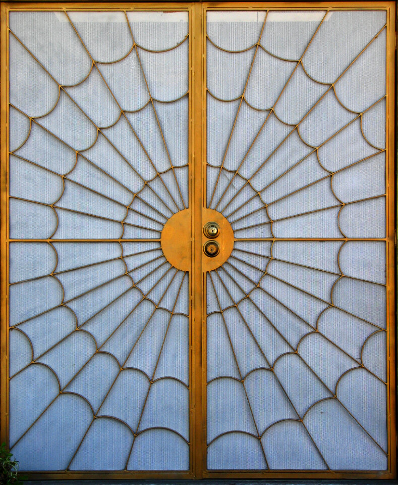 door with spiderweb design