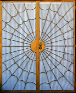door with spiderweb design photo
