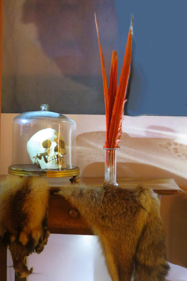 strange still life