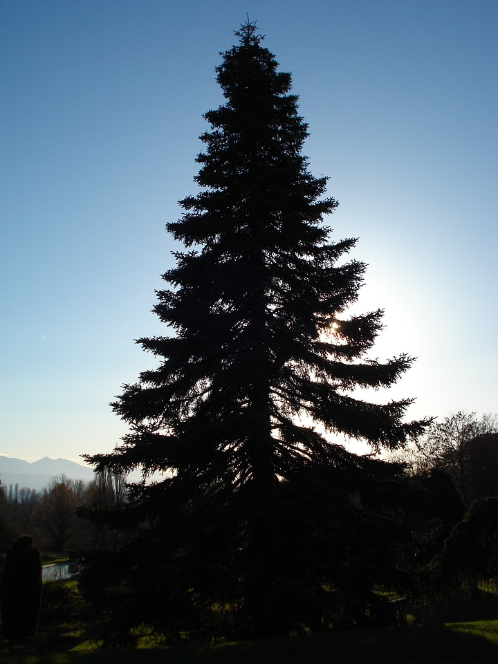 Sky light and shade against the light