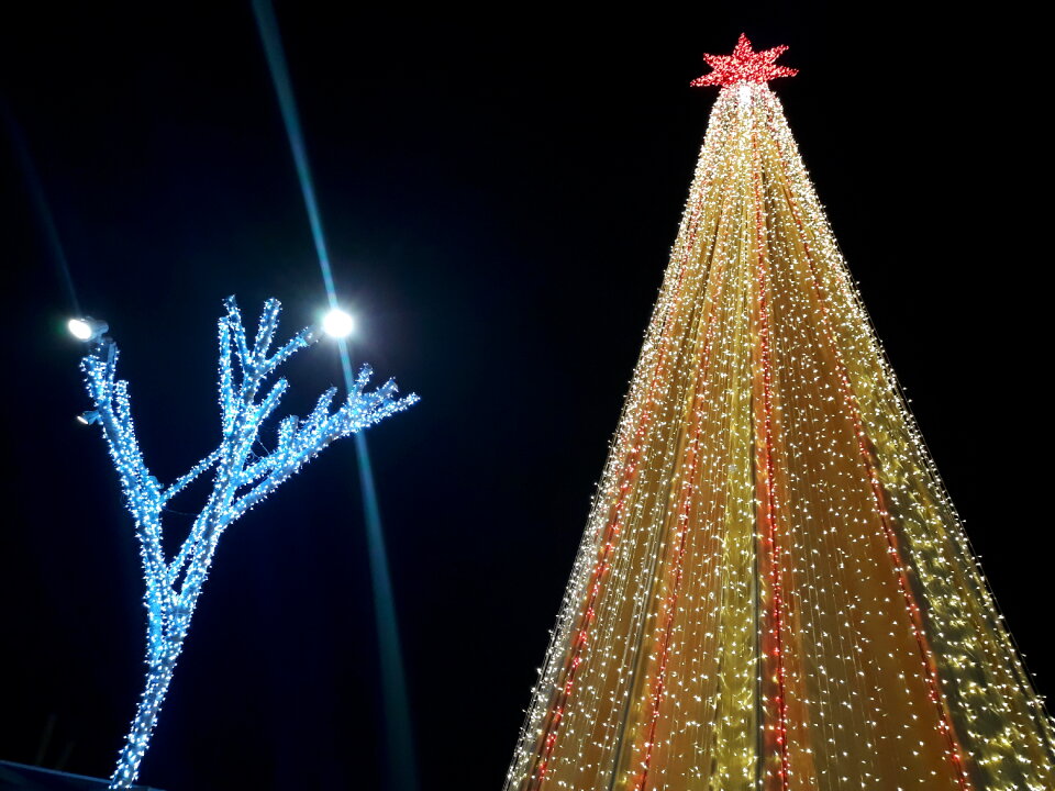 Christmas celebration