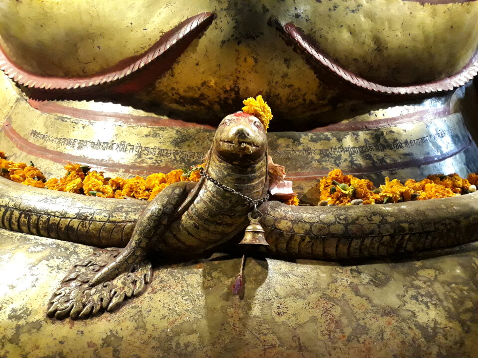 Snake protection to God