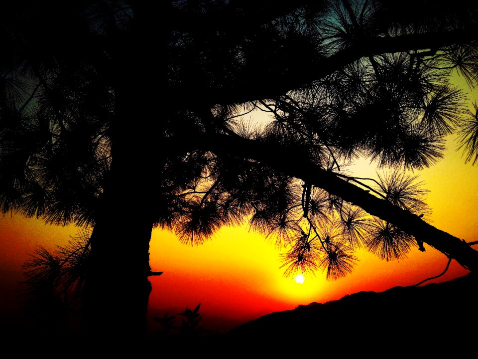 Sunset