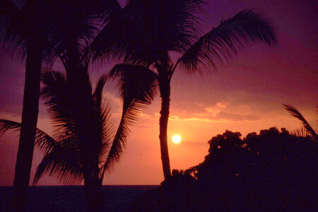Hawaiian sunset photo