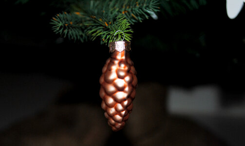 Xmas pine cone photo