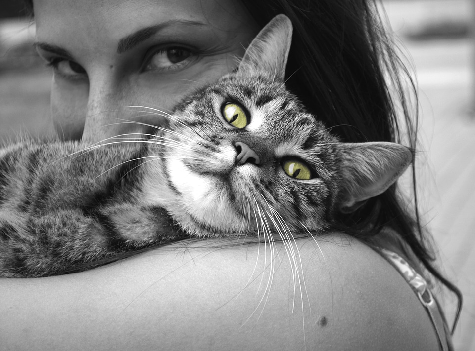 Happiness emotions hug