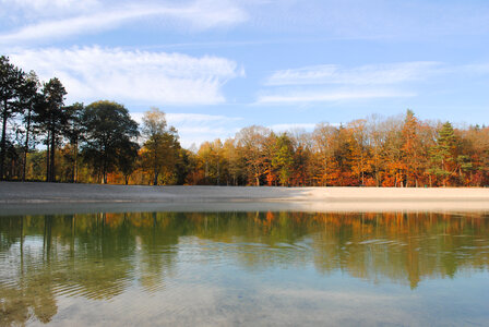 Dutch lake in the woods photo