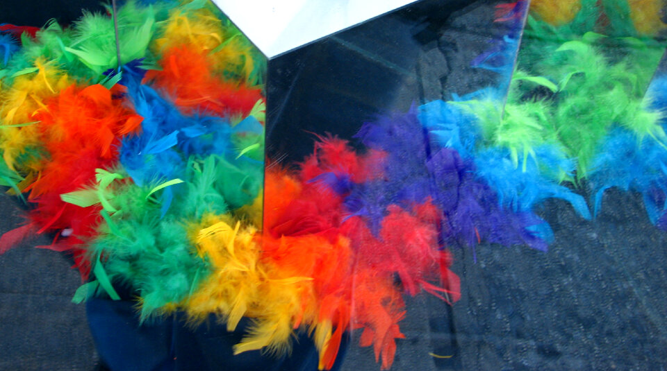 feathers