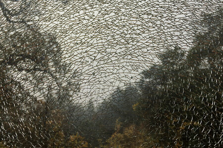 landscape with web