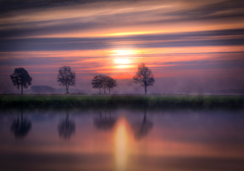 Trees reflection at sunrise photo