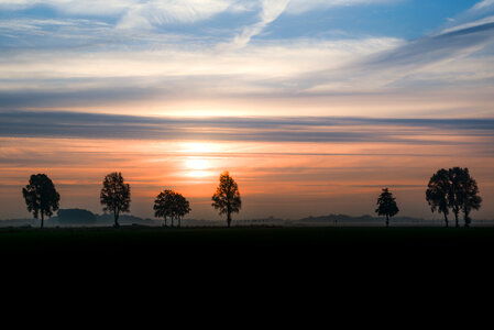 Tree silhouettes at dawn photo