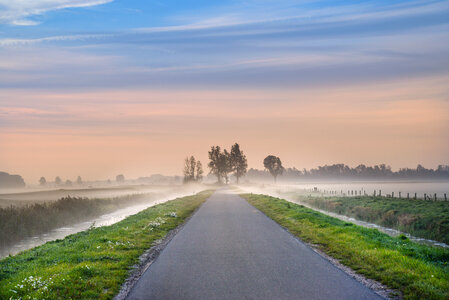 Rural road in fog photo