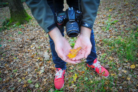 Man holding yellow leaf