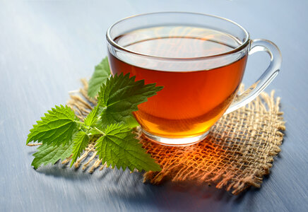 Herbal tea with nettles photo