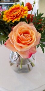 Orange rose in vase photo