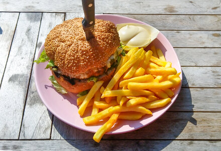 Burger with fries and mayo photo