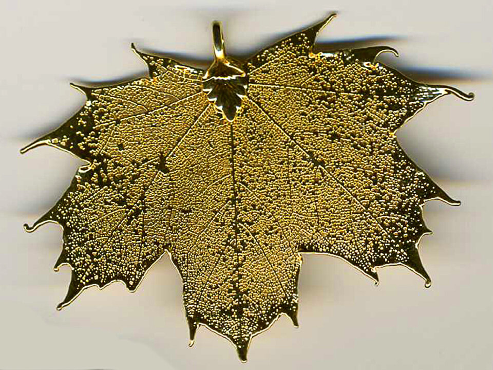 gold-coated maple leaf
