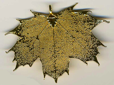 gold-coated maple leaf photo