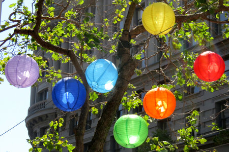 Chinese lanterns in tree photo