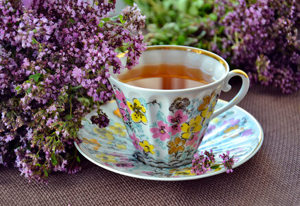 Herbal tea with oregano photo