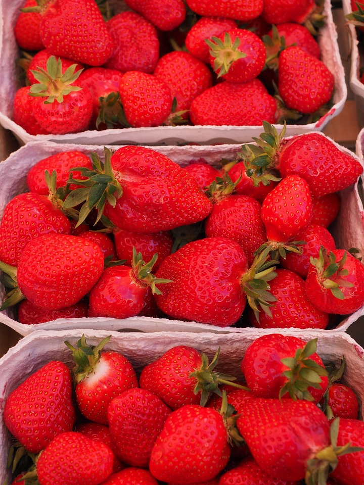 Fruit food sweet