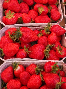 Fruit food sweet