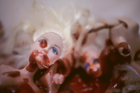 Doll carnage photo