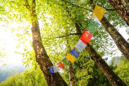 Tibetan flags photo