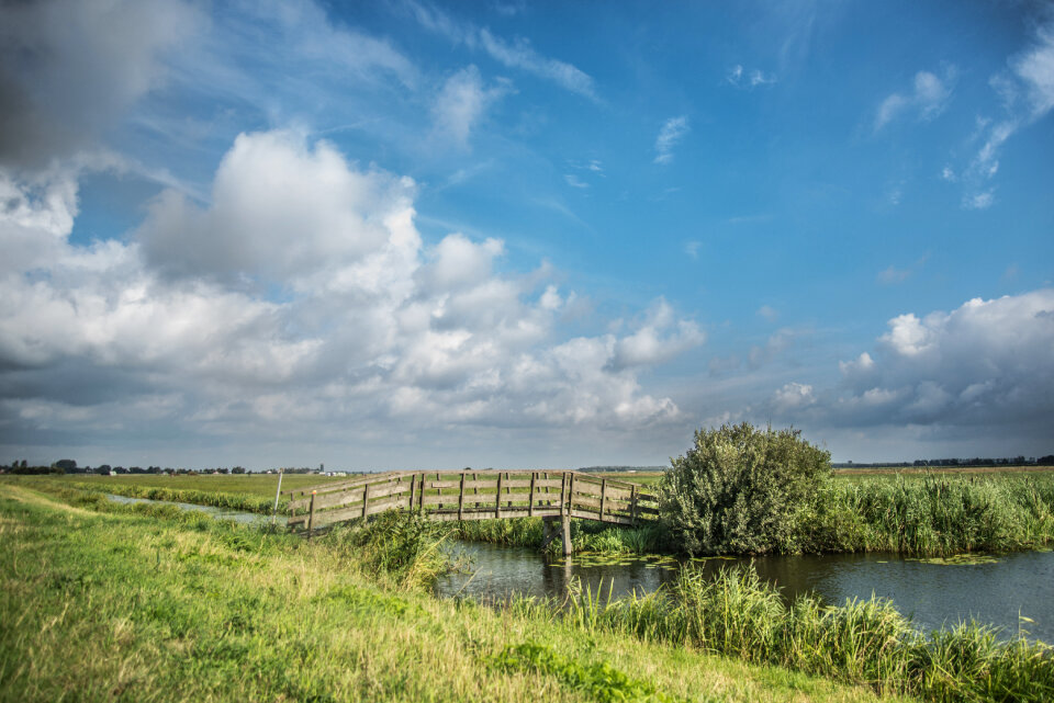 Typical Dutch scenery