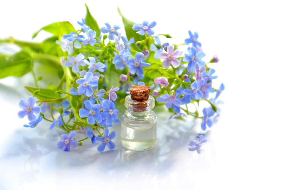 Essential oil and forget-me-nots photo