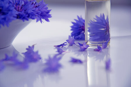 Cosmetic Oil and Cornflower Flowers photo