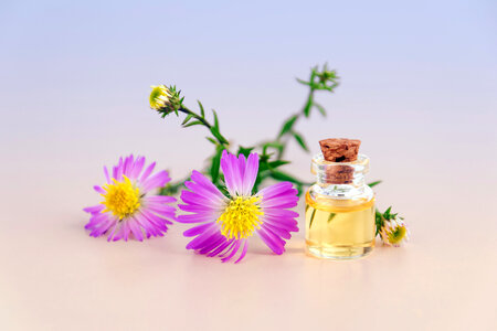 Essential oil in a glass bottle photo