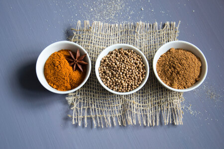Spices in white bowls photo