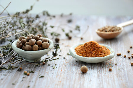 Spices in clay bowls photo