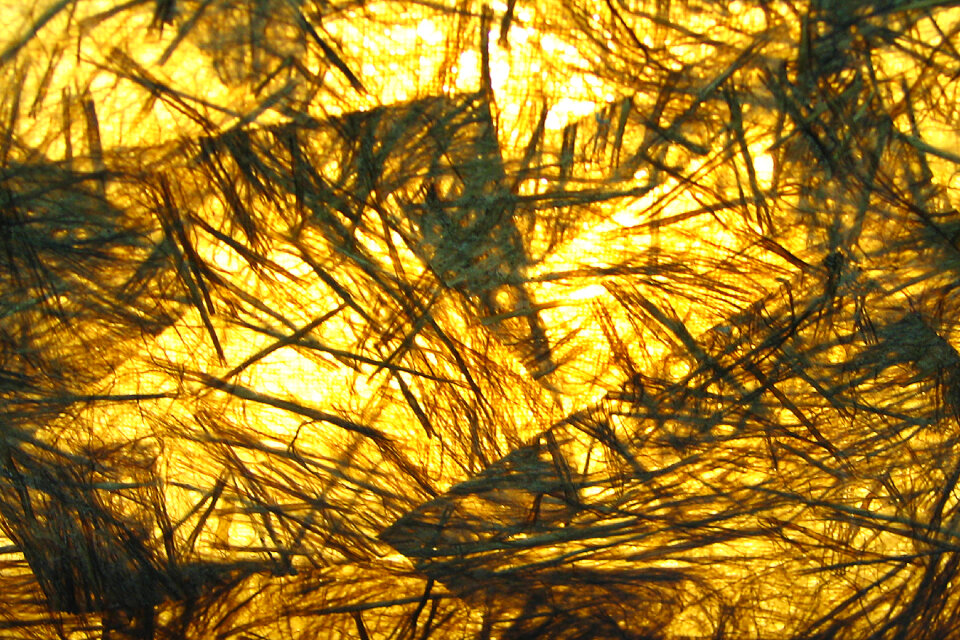 yellow particle-board abstract