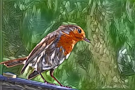 Painted bird on a branch