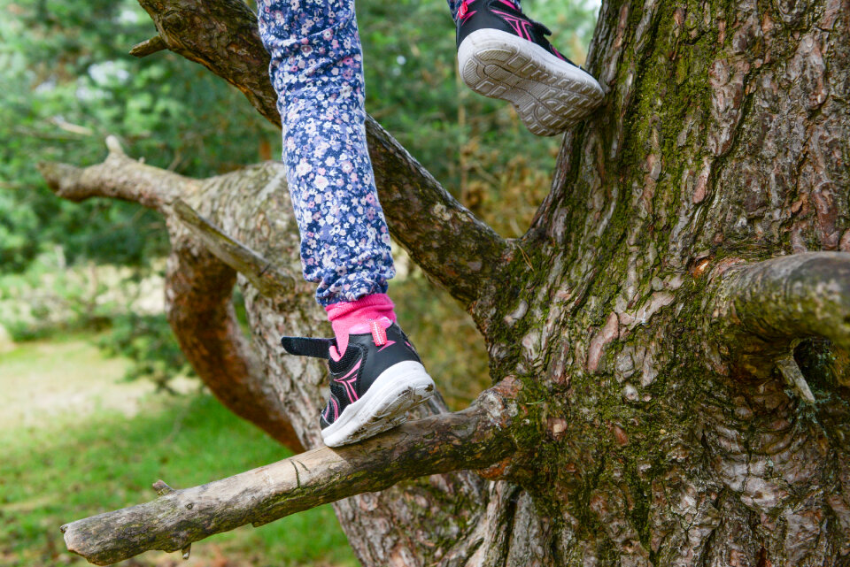Child climbing tree