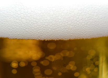 Cold beer close up photo