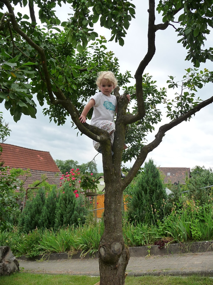 Play garden playground