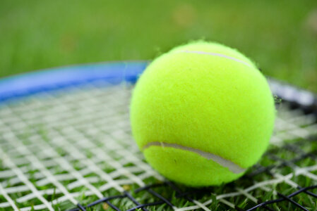 Tennis racket photo