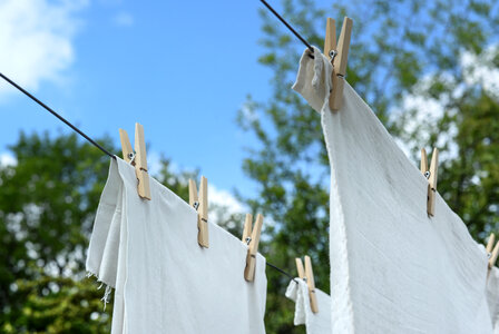 Hanging out to dry photo