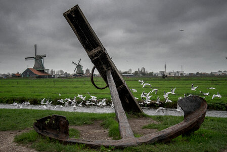 Anchor in the wild