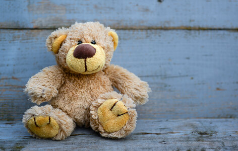 Stuffed bear photo
