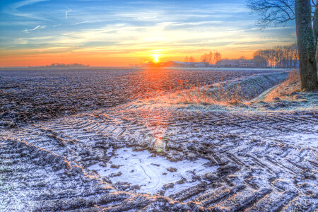 Cold sunrise at a field photo